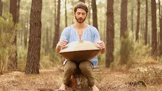 Trees energy | 30 minutes handpan music | Fred Fk