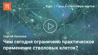 Возможности стволовых клеток взрослого организма – Сергей Киселев