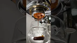 BOTTOMLESS Portafilters! Why use them?? #espresso #coffee #shorts