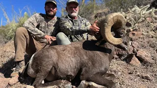 Arizona Desert Bighorn Sheep Hunt 2022