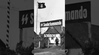 Sobibor Uprising: A Daring Escape #shorts