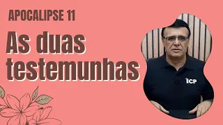 Apocalipse 11.3,4 - Quem são as duas testemunhas?