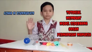 Tutorial Membuat Model Sederhana Organ Alat Pernafasan Manusia oleh Azhar M Dz