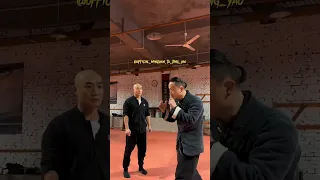 Shaolin Monk Meets Wing Chun Master Tu Tengyao : A Martial Arts Exchange of Techniques and Wisdom