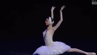 A Leveza do Balé (A morte do cisne), por Svetlana Zakharova.