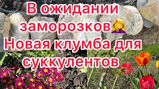 Красота первых цветов, обещают сильное похолодание , вот так и живём 😉