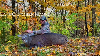 Ohio Archery Buck |Late October Pre-Rut | Mobile Hunting | Hunting Micro Parcels |