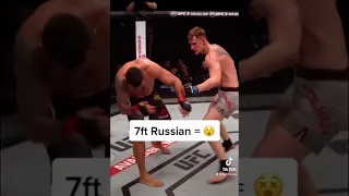 Volkov KO’s Werdum STIFF