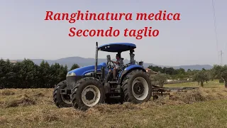 Ranghinatura MEDICA - New Holland TD75D - FCR