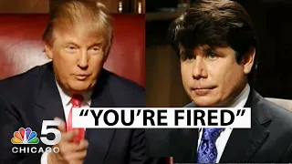 Flashback: Watch Trump ‘Fire’ Blagojevich on ‘The Celebrity Apprentice’ | NBC Chicago