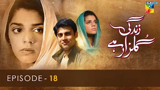 Zindagi Gulzar Hai - Episode 18 - [ HD ] - ( Fawad Khan & Sanam Saeed ) - HUM TV Drama