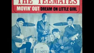 THE TEEMATES - Moving Out