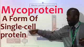Mycoprotein - B3.4