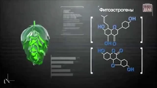 Разрушение Мужских и Женских гормонов алкоголем.