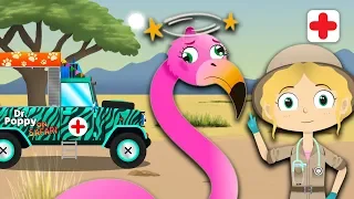 Dr Poppy Helps Uma The Flamingo & More Animals For Kids | Toddler Fun Learning | Animal Videos