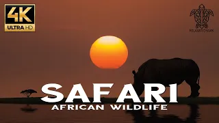 African Safari 4K I African Wildlife Animals I Scenic relaxation with beautiful relaxation music