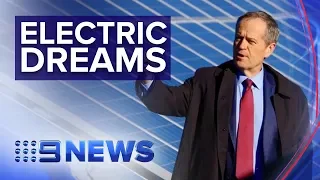 Electric cars to help heal the environment under Labor | Nine News Australia