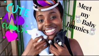 BABY RABBIT KITS FROM NEWBORN TO 14 DAYS ||  || Rabbit Farming in KENYA || OUR BIG SECRET REVEALED😁