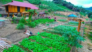 200 days for Sang Vy to plant a clean vegetable garden, take care of it harvest and cook on the farm