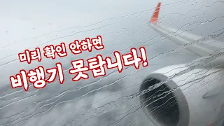 오사카, 교토여행 이것 모르면 큰일, 여차하면 한국에 못 돌아와요! 간사이공항 새로워진 룰, 특급하루카