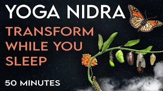 Yoga Nidra for Sleep | Heal and Transform While You Sleep | 50 Minutes