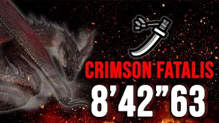 Crimson Fatalis Longsword solo 8'42 (MOD) | MHW Iceborne PC