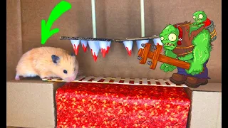 🐹 Hamster vs Zombies Maze 😱Escape Obstacle Course Cardboard