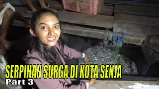 SERPIHAN SURGA DI KOTA SENJA | JEJAK PETUALANG (22/08/23) Part 3