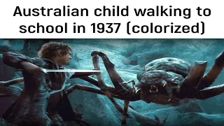 memes only australians will understand