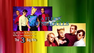 A Flock Of Seagulls  -  The 3 Big Hits