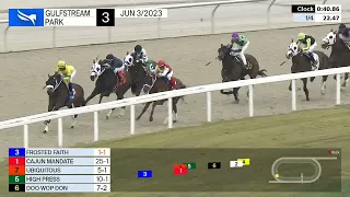 Gulfstream Park Carrera 3 - 3 de Junio 2023