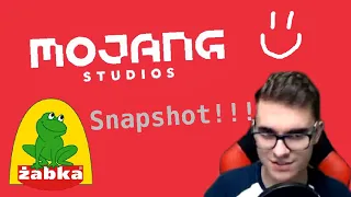 @TIDZIMI zdradza kiedy będą pierwsze snapshoty do 1.17! 😮 | TIDZIMI - shot z live 18.10.2020r.