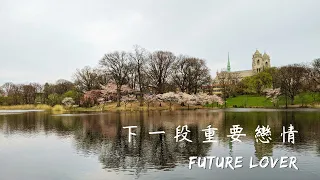 🧬理科塔羅🔬。你的下一段重要戀情。(CC字幕)【誠實豆沙包Alert!!】Timeless.