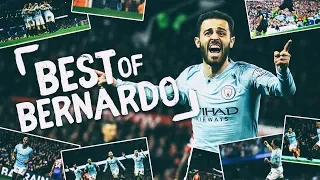 BERNARDO SILVA BEST OF 2018/19 | HIGHLIGHTS OF THE SEASON