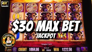 $30 Max Bet JACKPOT on Buffalo Gold Slot Machine