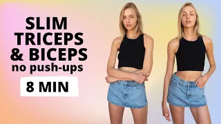 Slim and Lean Triceps & Biceps No Push-Up Arm Workout / Nina Dapper