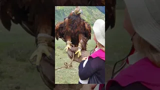 Golden Eagle Kyrgyzstan