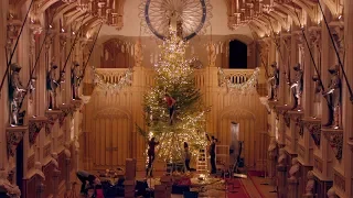 TIMELAPSE: Queen's Christmas Tree at Windsor Castle