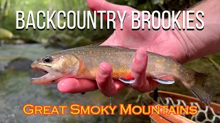 Chasing NATIVE BROOK TROUT in the Great Smoky Mountains | Backcountry Brookies