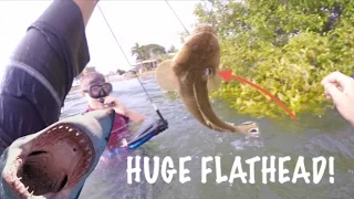 Spearfishing HUGE Flathead   With a SPEARGUN!