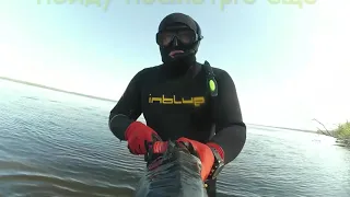 Подводная охота  Трофейный сазан  Саратов