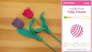 تعليم الكروشيه: وردة توليب - Learn how to Crochet: Tulip Flower