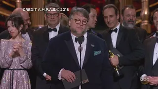 ‘The Shape Of Water’ Wins Best Picture In 90th Academy Awards