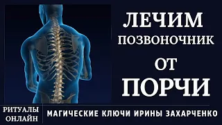 ПОРЧА НА ПОЗВОНОЧНИКЕ. ХРОНИЧЕСКИЕ БОЛИ. ЗАЩЕМЛЕНИЕ, ГРЫЖА, ХОНДРОЗЫ.