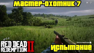 Прохождение RDR 2 на 100% - Испытание: Мастер-охотник 7 (Глава 2 - Нагорье Подкова)