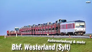 Railway station Westerland (Sylt) - car train and more