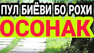 Канали Фуруши Дорем