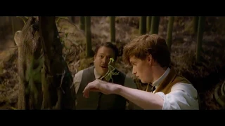 Fantastic Beasts- Song Spoof