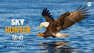 Sky Hunter - हिन्दी डॉक्यूमेंट्री | Wildlife documentary in Hindi