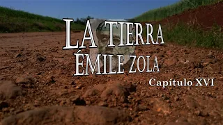 Literatura - 2_2 - La tierra - Émile Zola
